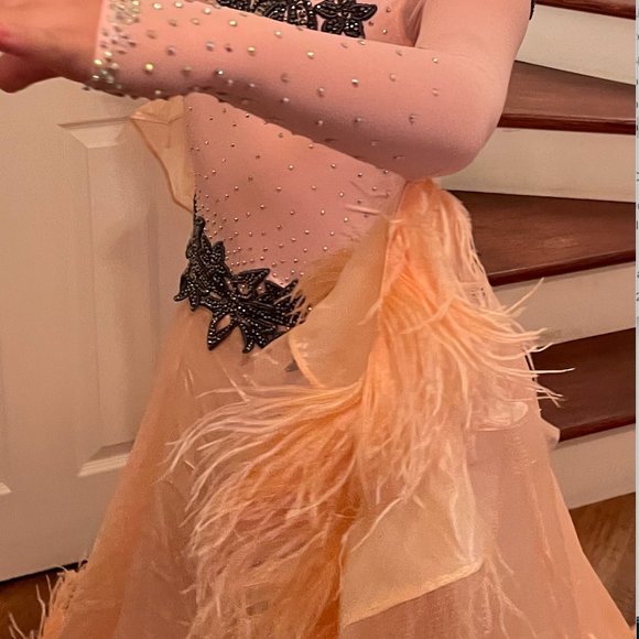 Competition Standard Dress - pre-owned - Picture 5 of 11